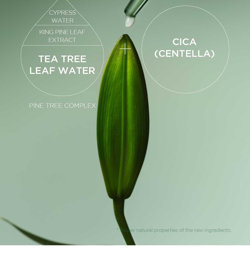 Skin1004 Madagascar Centella Tea Trica Spot Cream