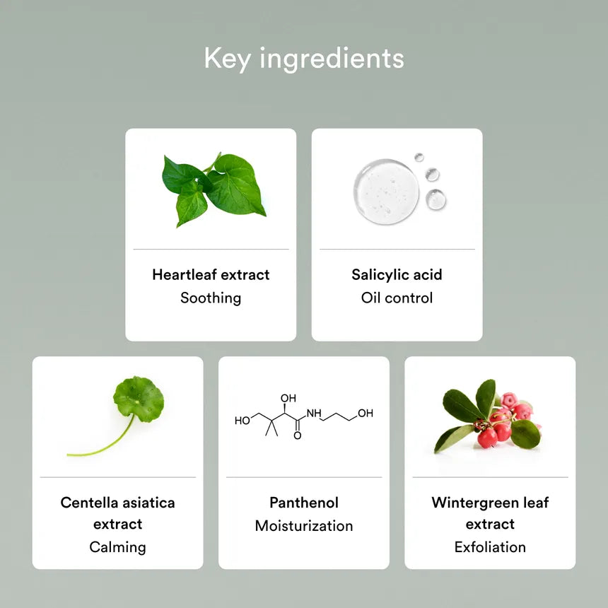 Abib - Acne Foam Cleanser Heartleaf Foam