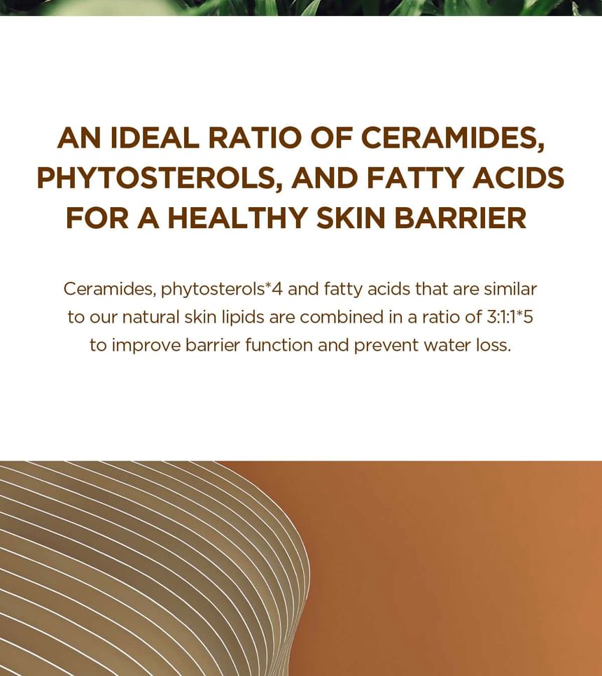 SKIN1004 Madagascar Centella Probio Cica Intensive Ampoule