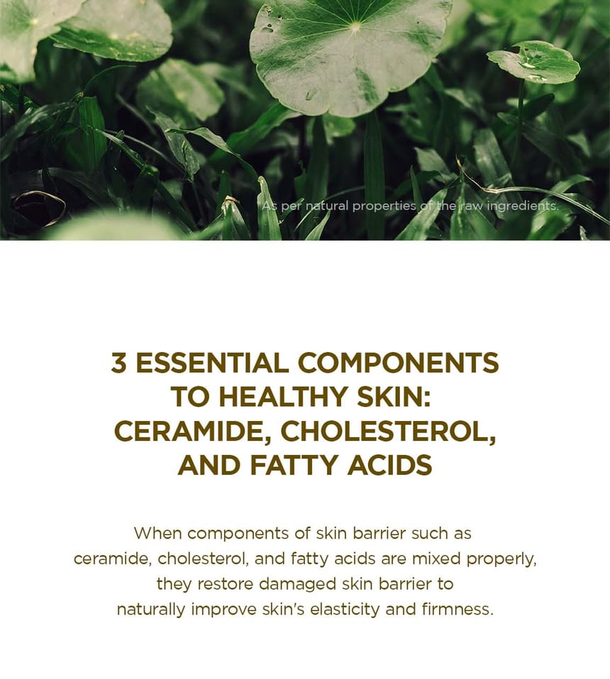 Skin1004 Madagascar Centella Soothing Cream
